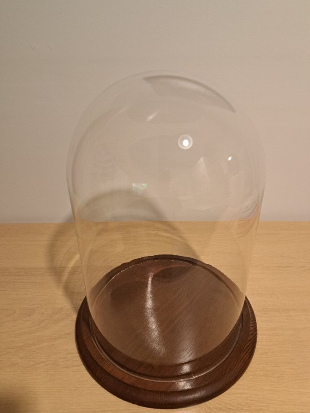 Large Glass Cloche with Wooden Base